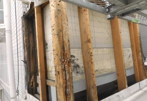 名称未設定-1-300x206